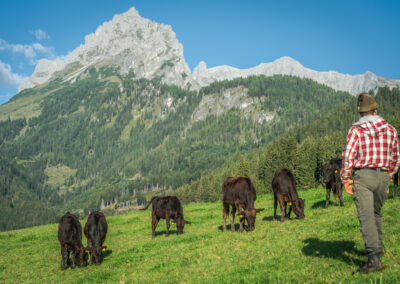 Wagyu
