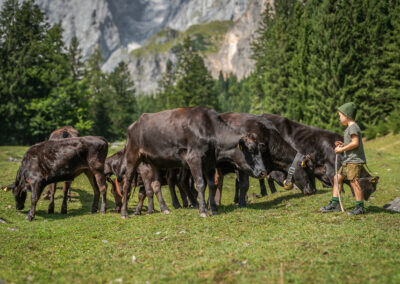 Wagyu